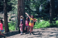Frisbee Golf