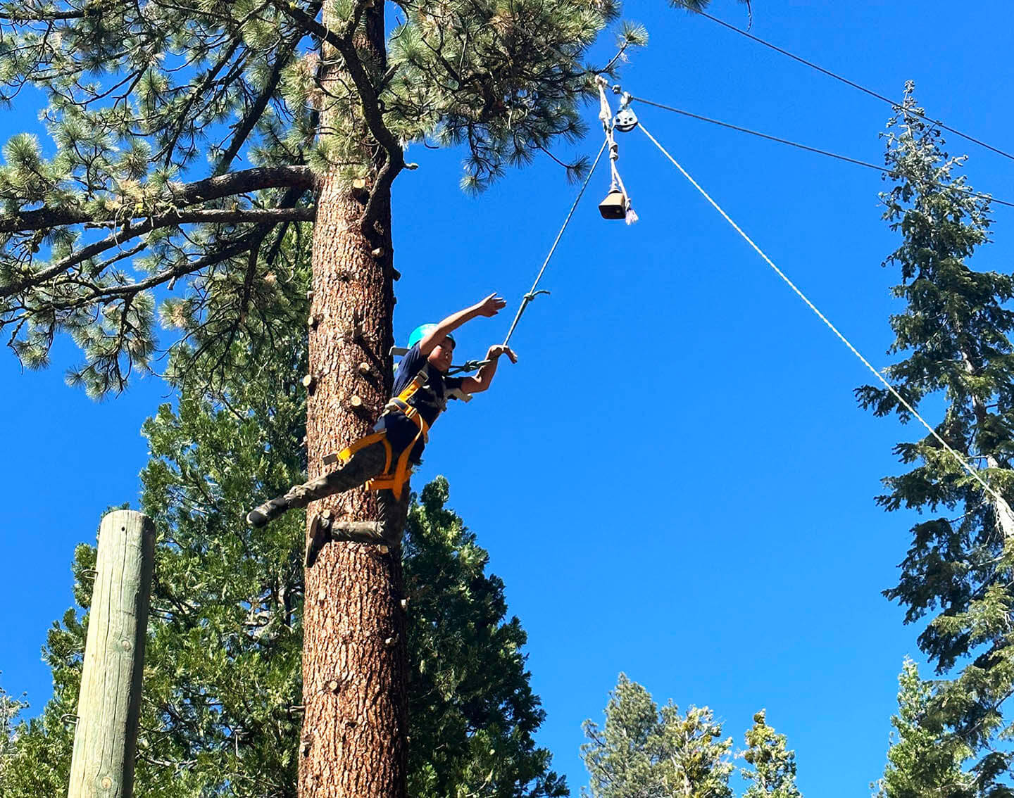 Camp St. Andrews San Bruno Bay Area Summer Camp Quantum Leap Ropes Course Fun!